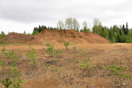 Särkiniemen kaivosalueella ei terveysriskejä – kunnostustarve ekologisten riskien takia