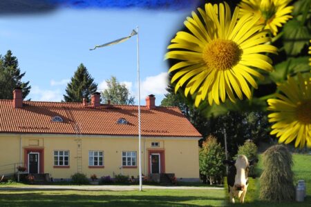 Keltainen punakattoinen talo ja keltaiset kukat